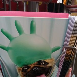 Meet your Posher, Sky